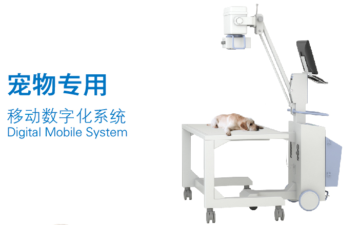 寵物數(shù)字DR