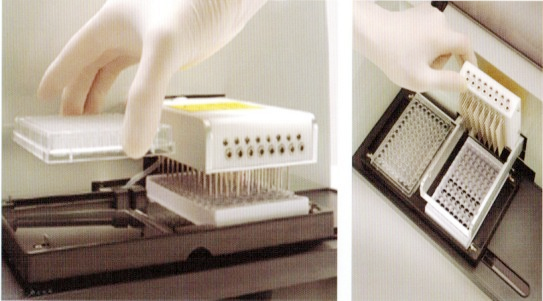 自動(dòng)酶標(biāo)洗板機(jī)